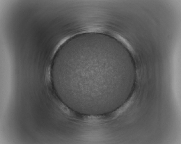 X0000113330875200909281225