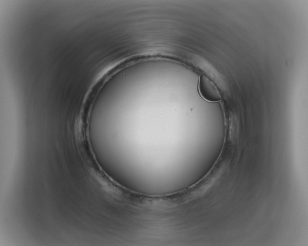 X0000113330876200909281225