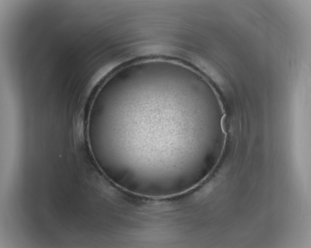 X0000113330877200909281225