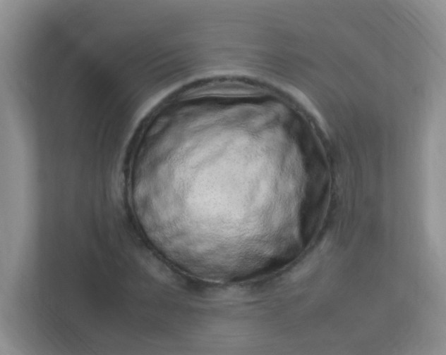 X0000113330879200909281225