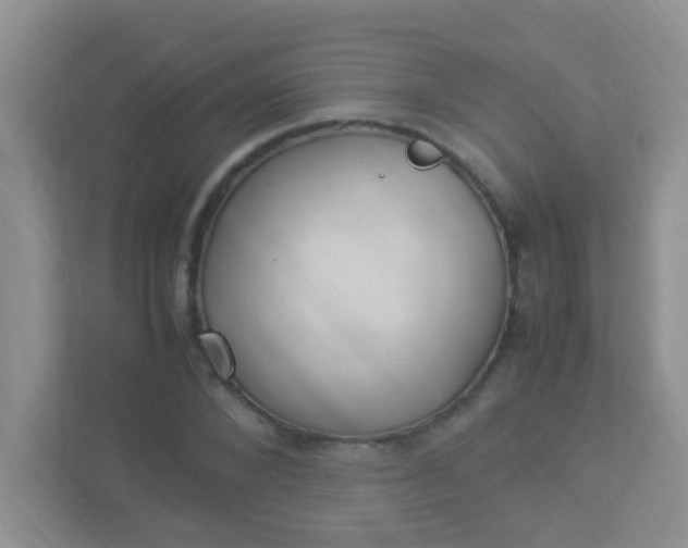 X0000113330880200909281225
