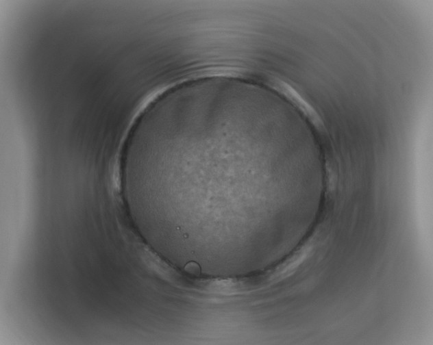 X0000113330883200909281225