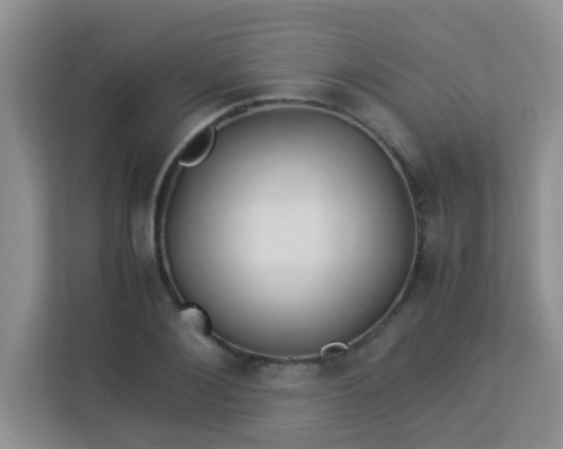 X0000113330884200909281225