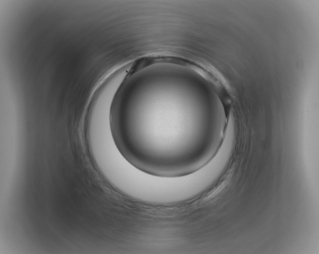X0000113330885200909281225