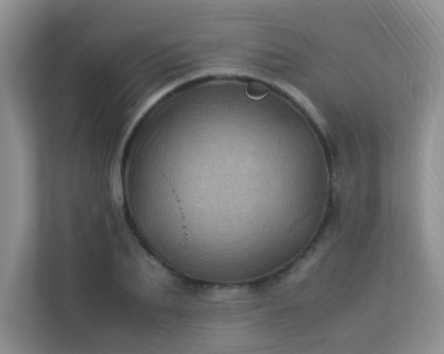 X0000113330887200909281225