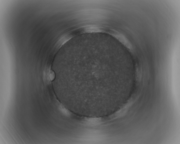 X0000113330889200909281225