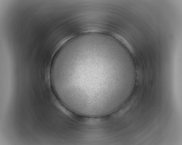 X0000113330890200909281225