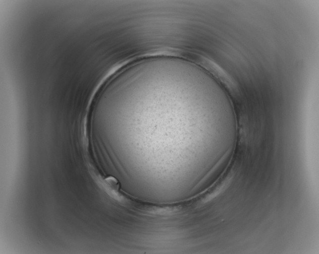 X0000113330892200909281225