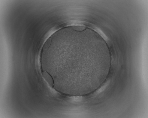 X0000113330893200909281225