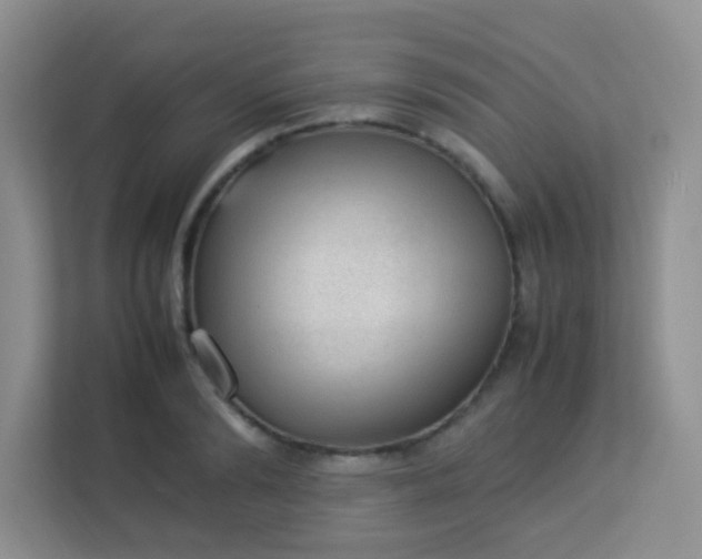 X0000113330894200909281225