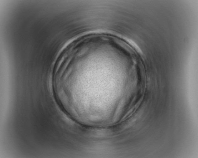 X0000113330895200909281225