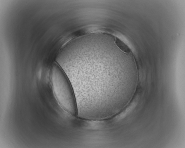 X0000113330897200909281225