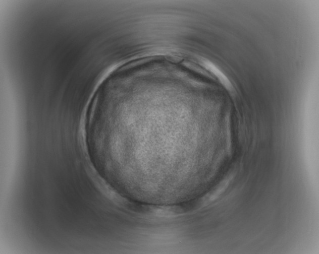 X0000113330899200909281225
