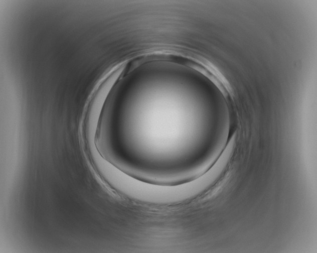 X0000113330901200909281225