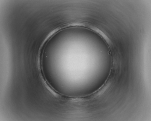 X0000113330902200909281225