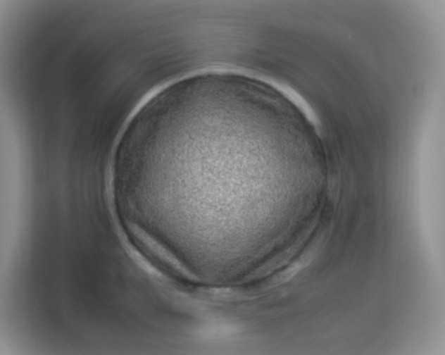 X0000113330903200909281225