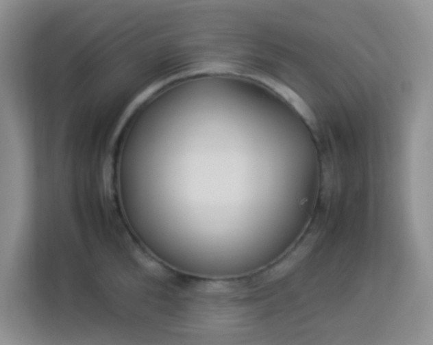 X0000113330904200909281225