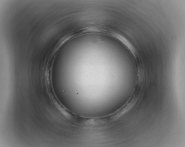 X0000113330906200909281225