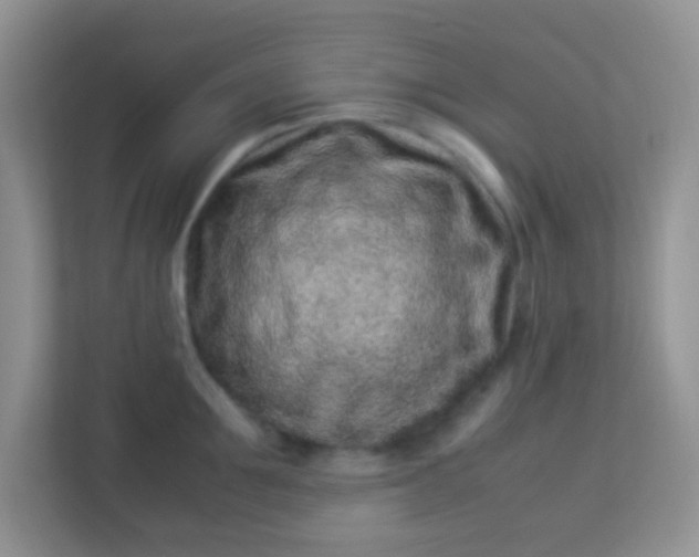 X0000113330907200909281225