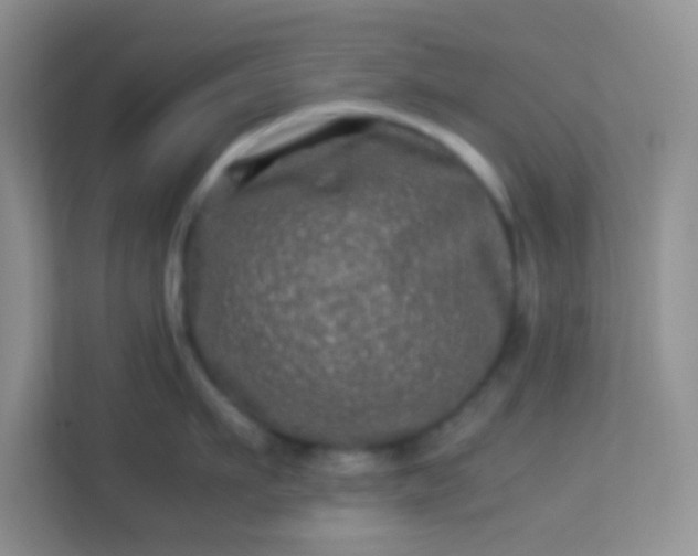 X0000113330911200909281225