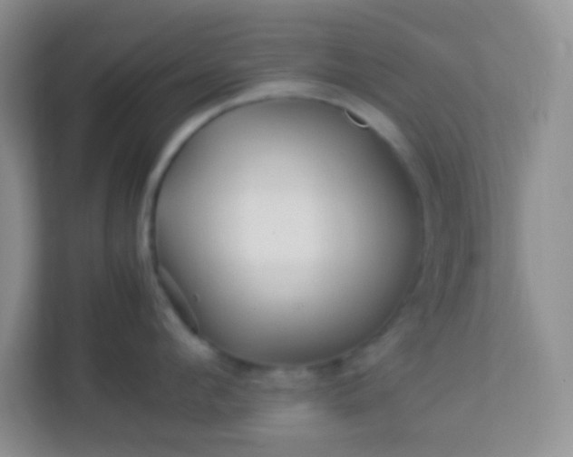 X0000113330912200909281225