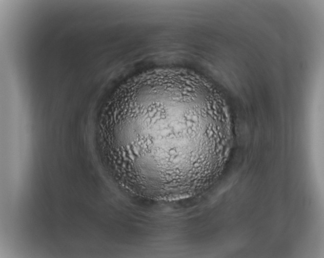 X0000113330913200909281224