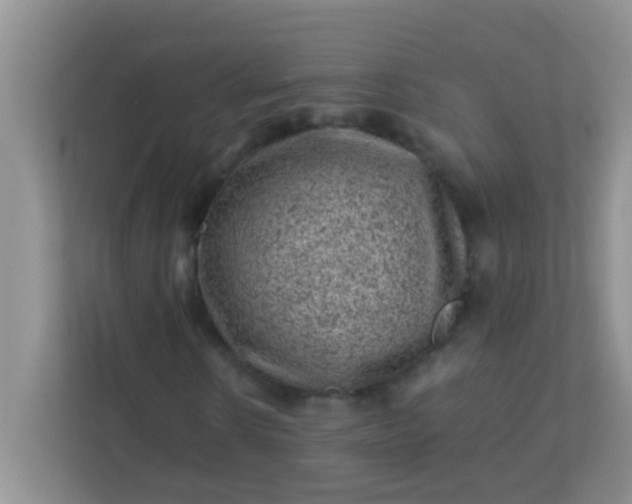 X0000113330914200909281224