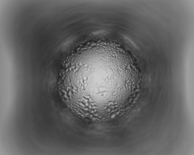 X0000113330917200909281224