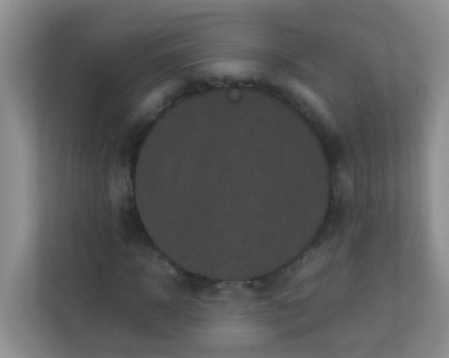 X0000113330918200909281224