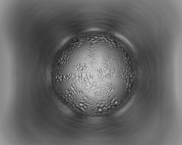 X0000113330921200909281224