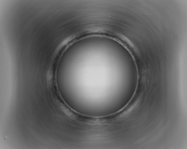 X0000113330922200909281224