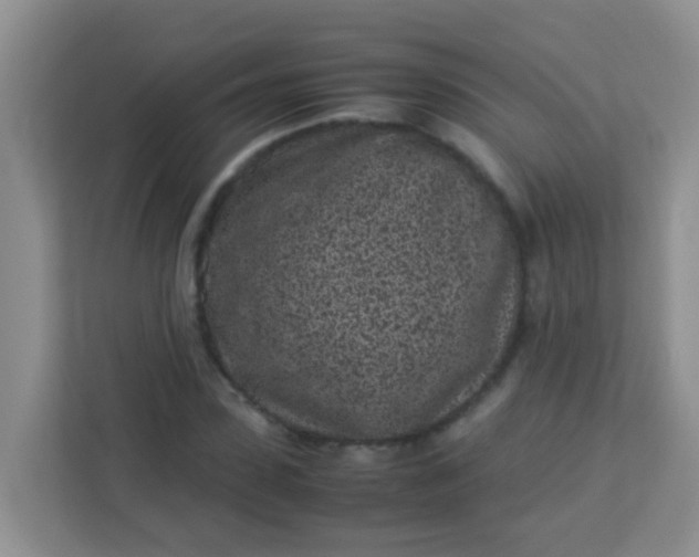 X0000113330923200909281224