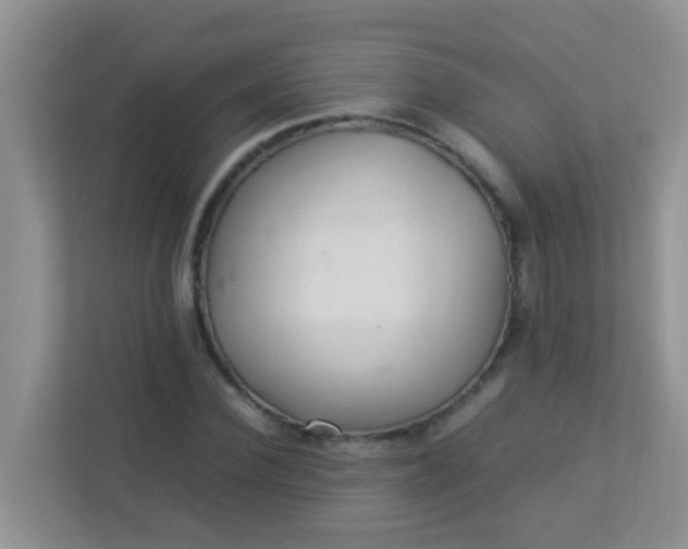 X0000113330924200909281224
