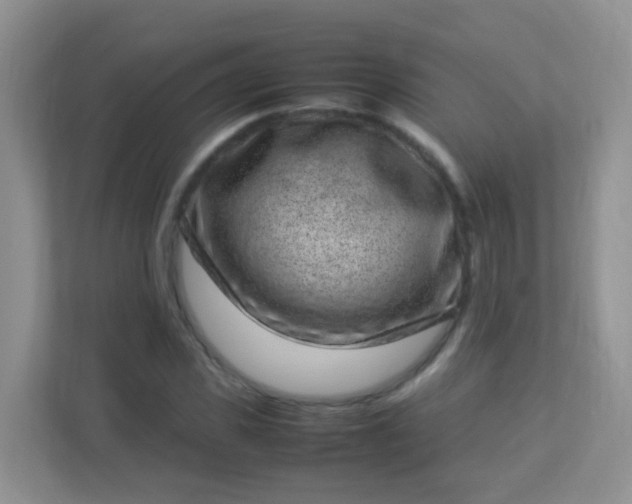 X0000113330925200909281224
