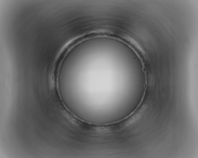 X0000113330927200909281224