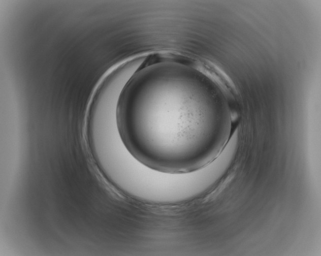 X0000113330932200909281225