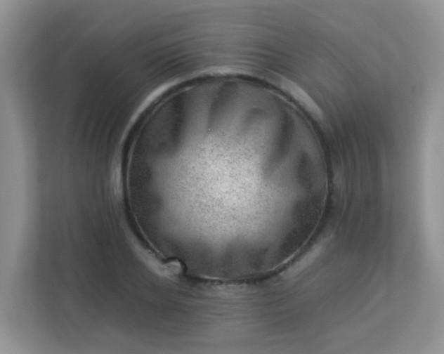 X0000113330934200909281225