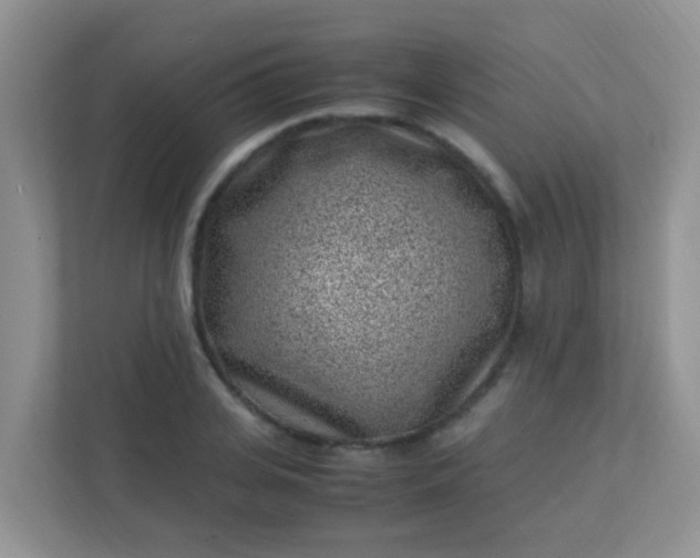 X0000113330935200909281225