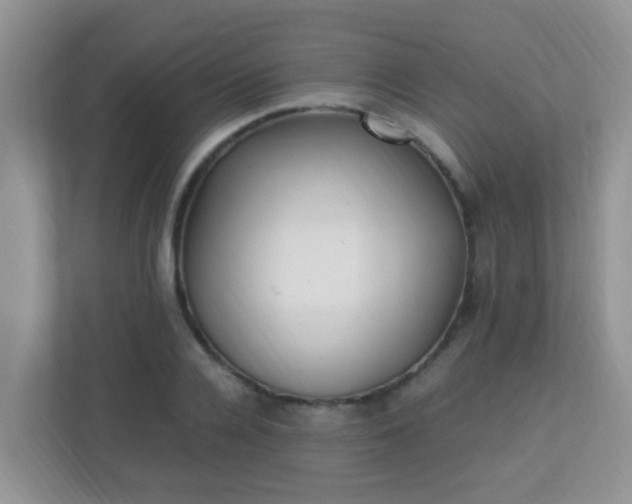 X0000113330936200909281225