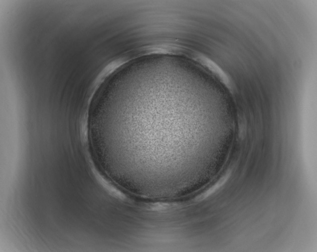 X0000113330938200909281225