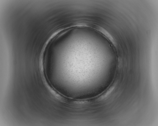 X0000113330939200909281225