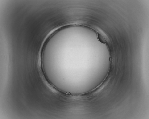 X0000113330940200909281225