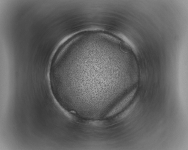 X0000113330943200909281225