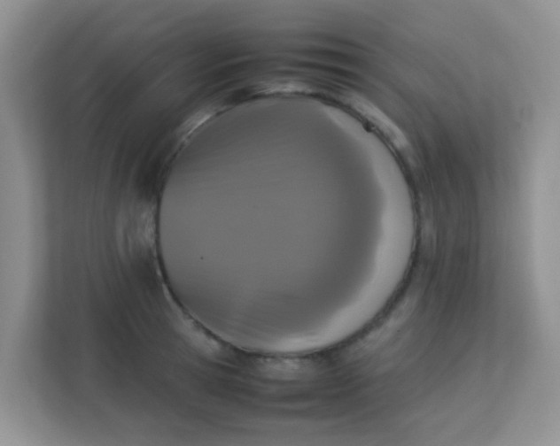 X0000113330945200909281225