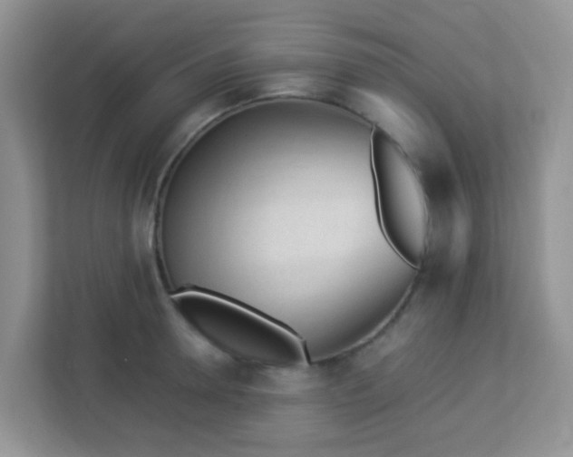 X0000113330946200909281225