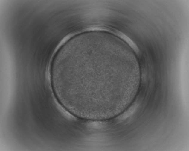 X0000113330950200909281225