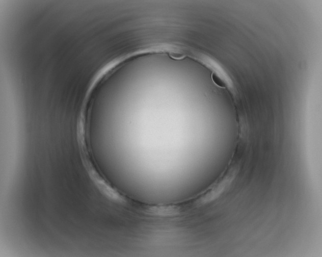 X0000113330952200909281225