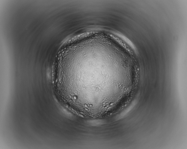 X0000113330953200909281225