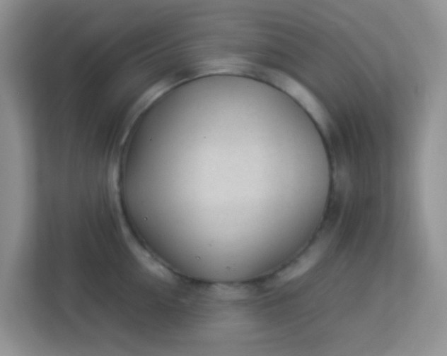 X0000113330954200909281225