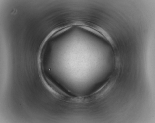 X0000113330955200909281225